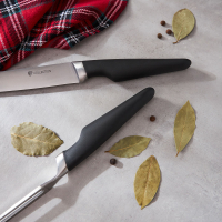 Набор 2пр. Нож кухонный 21,5 см, вилка для мяса