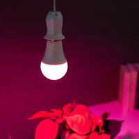 Лампочка для растений, 6х12см, 10LED, фиолетовый, Е27, 9Вт, PC