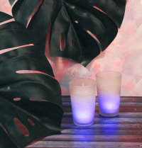 Свеча ароматизированная с LED подсв.,ваниль/кокос,пачули/орхид.,мистич.сад,райск.насл.