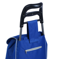 Тележка + сумка, с колесами для подъёма по лестницам, до 30кг, брезент, сумка 53х31х18,5см