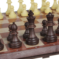 Набор игр 2 в 1 (шахматы, шашки) 31,5х32см, пластик